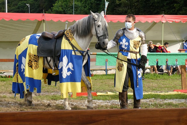 长期集训的 长期集训的