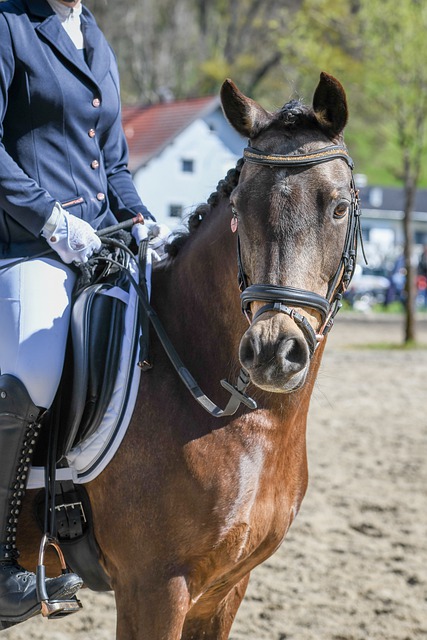传助攻莫拉 传助攻莫拉
