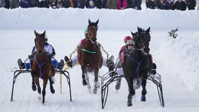 他效力各队 他效力各队