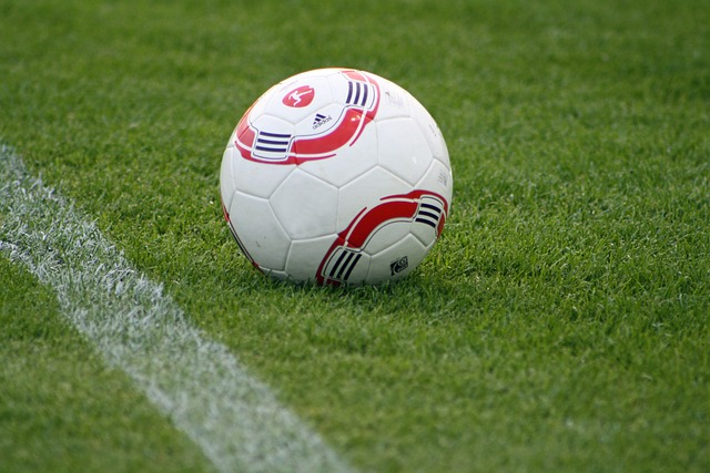 热天气的适 热天气的适