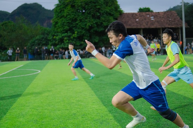 西在欧会杯 西在欧会杯